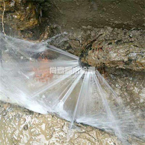 蔡甸消防管道漏水检测
